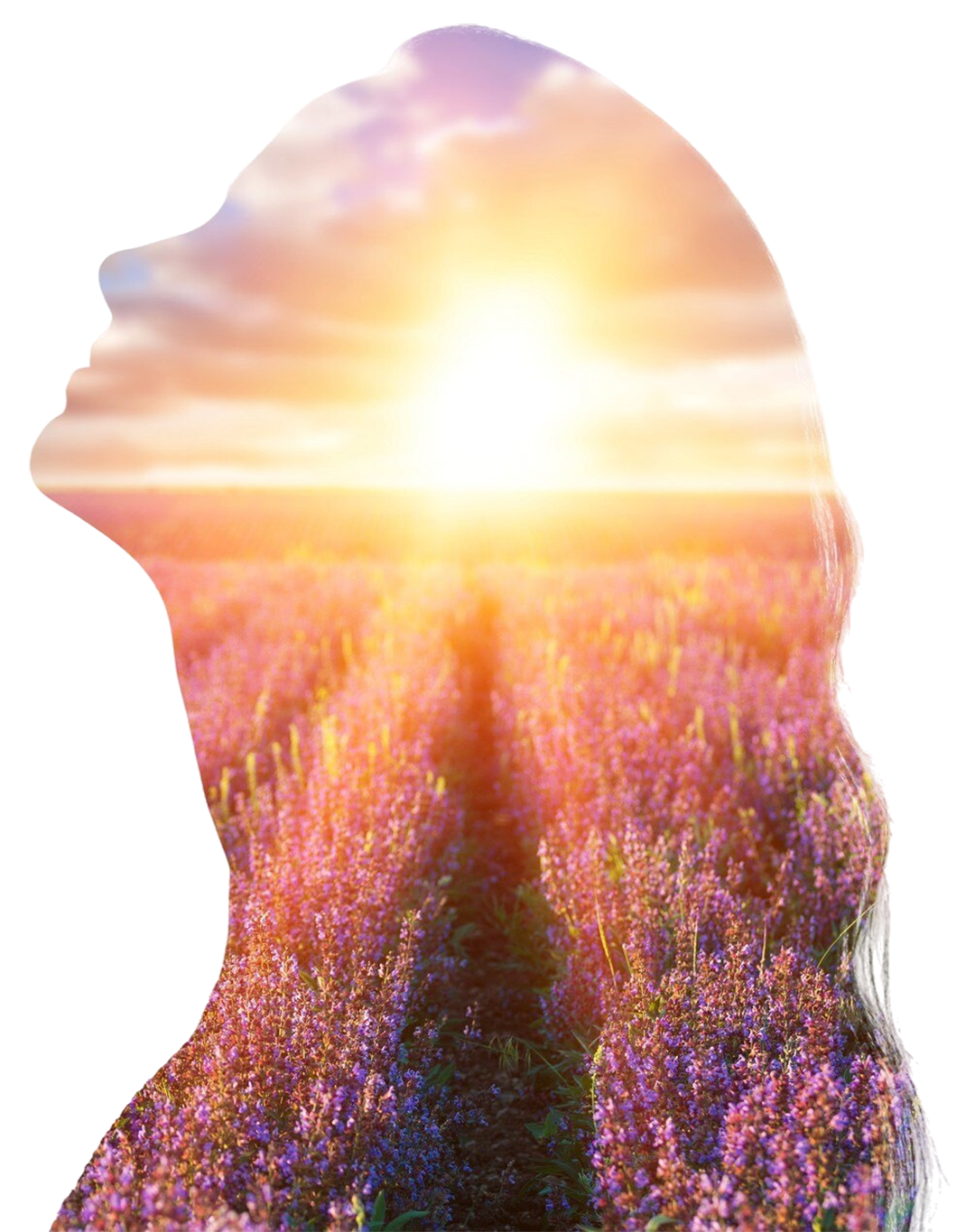 psychology-concept-sunrise-dreamer-woman-silhouette